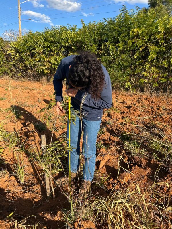 48413cbd-7134-44f0-a451-5f23d0dee3c3