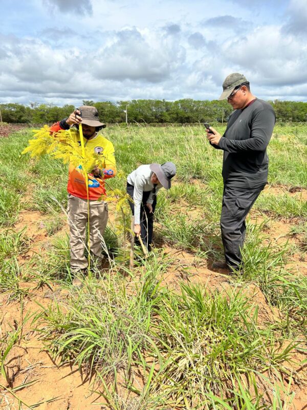 69e1aec0-e449-4b77-8d5f-56a80188debe